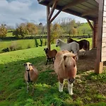 Mascotte 度假居 La Gresle